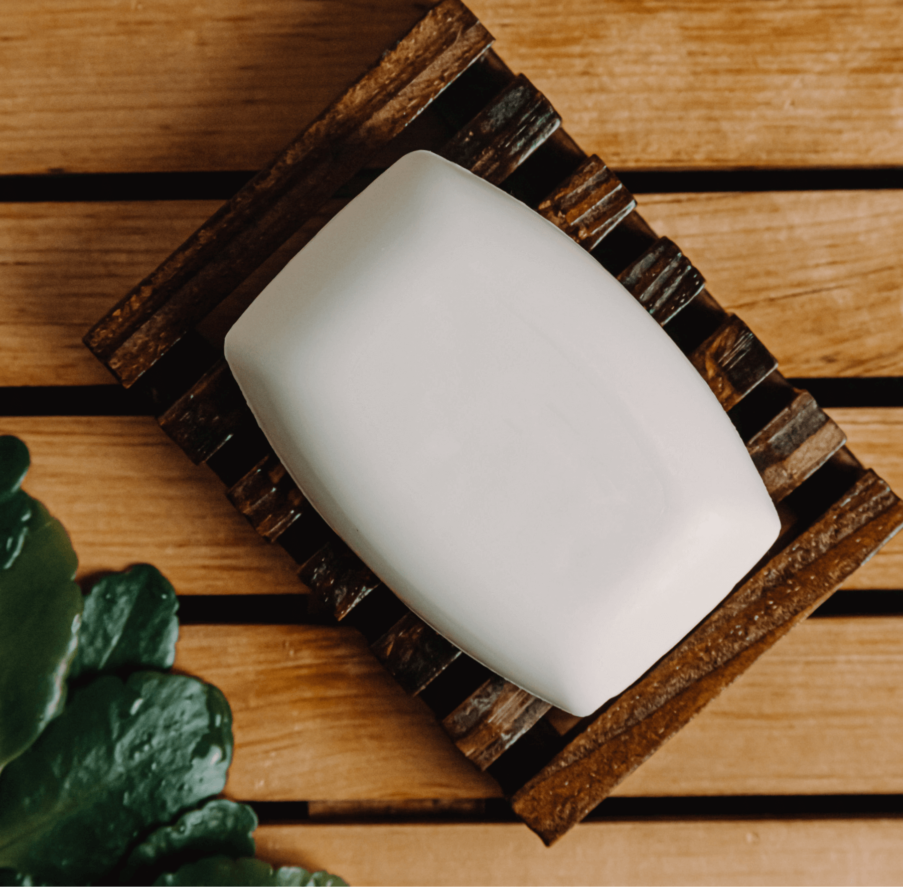 The (Sample) Coconut Bar Soap, made with organic coconut oil, sits on a dark wooden soap dish atop a light wood surface. A green leafy plant appears in the lower left corner.